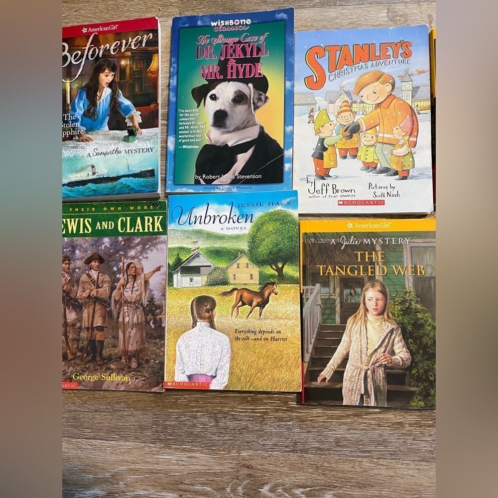 Miscellaneous kids girl chapter books Soft Cover Bundle set Lot of 7 scholastic